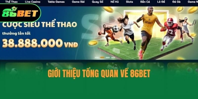 Giới thiệu tổng quan về 86bet